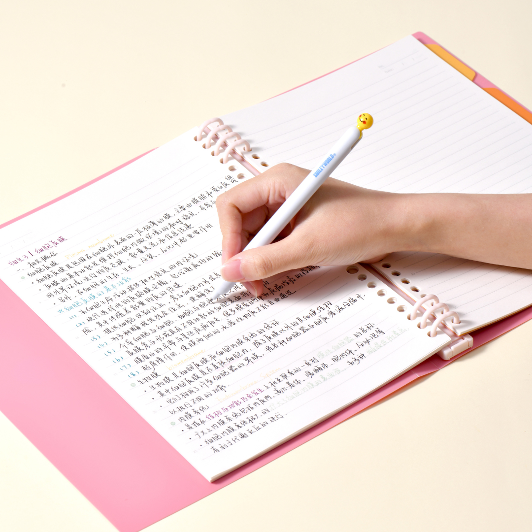 Smiley World Loose-leaf Notebooks