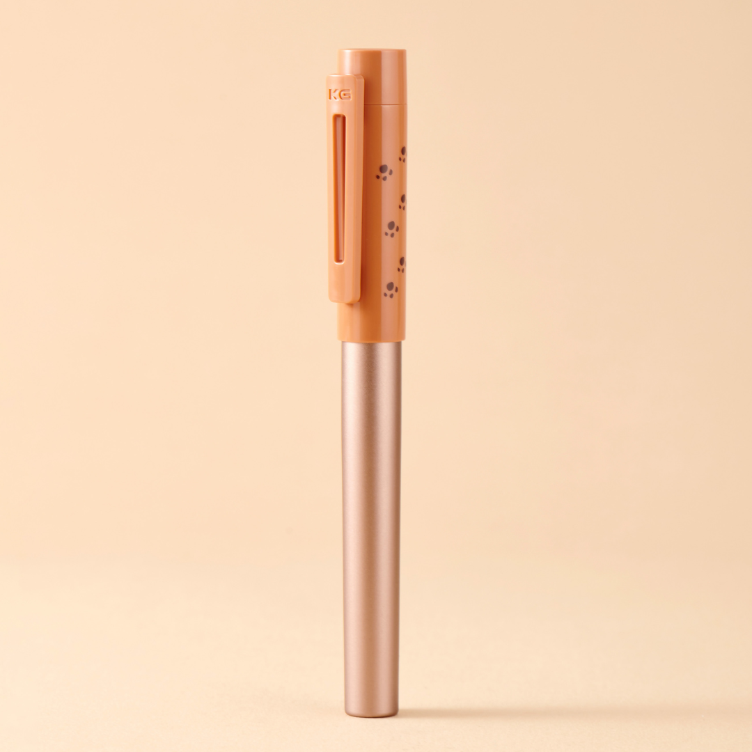 Sky Fountain Pen Red Panda Gift Set